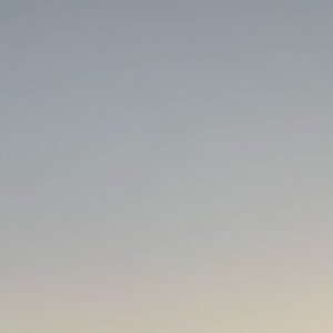 Meet your Posher, Hattie